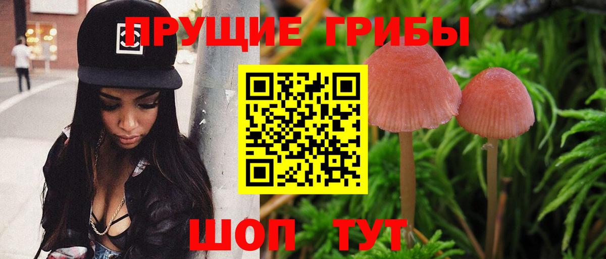 Ноябрьск  Галлюциногенные грибы GOLDEN TEACHER  Псилоцибиновые грибы Psilocybe  Вход с VPN 